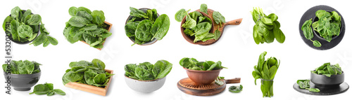 Collage of fresh spinach leaves on white background
