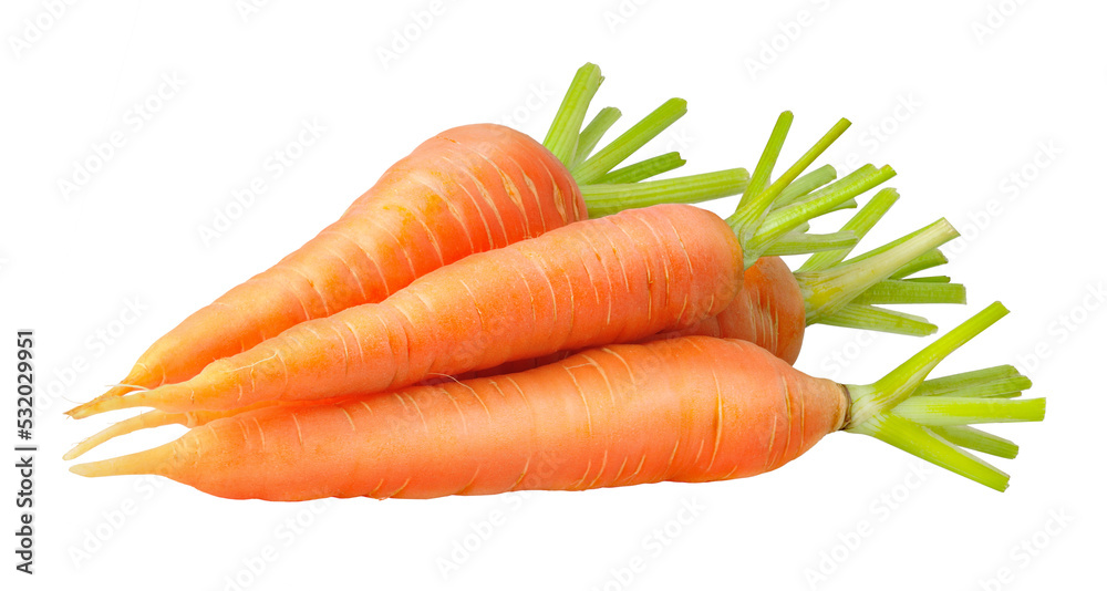 Obraz na płótnie Heap of raw carrots cut out w salonie