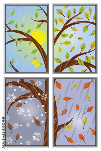 Tree in winter, spring, summer and autumn, - all seasons in one window