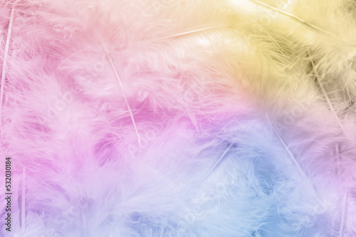 Bright soft feathers as background