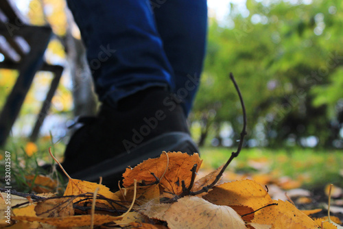 Women's legs in blue jeans and black sneakers against the background of autumn yellow-orange leaves. Blurred background