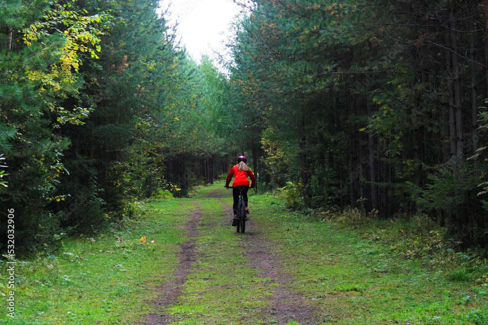 Fototapeta premium A girl in sportswear and a helmet rides a bicycle through the forest. Back view