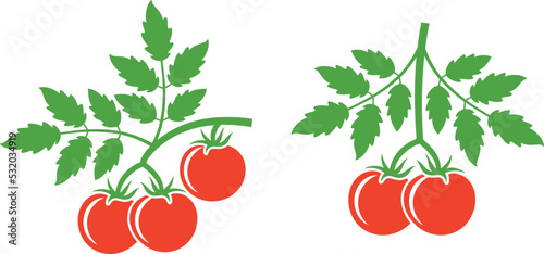 Tomato branch logo. Isolated tomato branch on white background