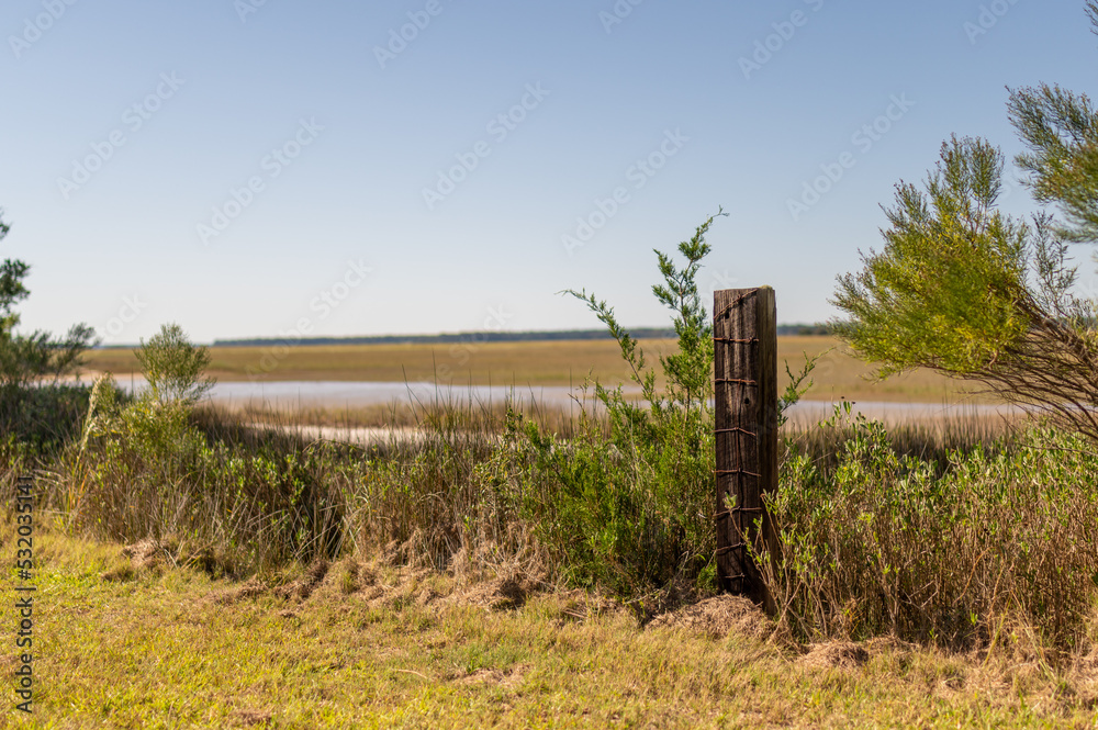 Abandoned old fence with marsh views Abandoned old fence with marsh views