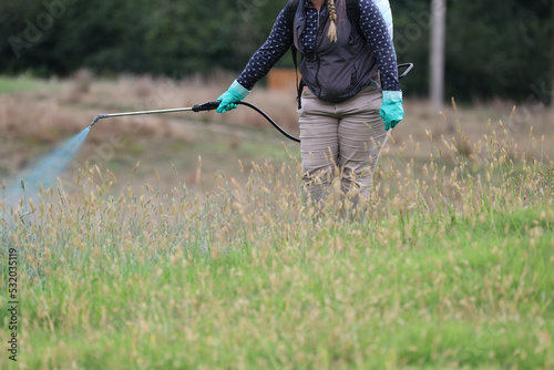 Weed killer photo