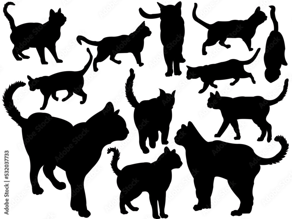 cat vector silhouettes