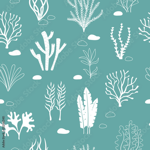 Seamless sea pattern with corals and seaweeds. Underwater algae. Vector marine illustration.	