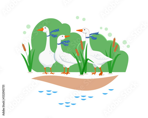 Three cute white goose in blue scarves with polka dots in reeds near lake against  background of green bushes. Illustration of cute farm animals for kids. Vector poster for children's room decor.