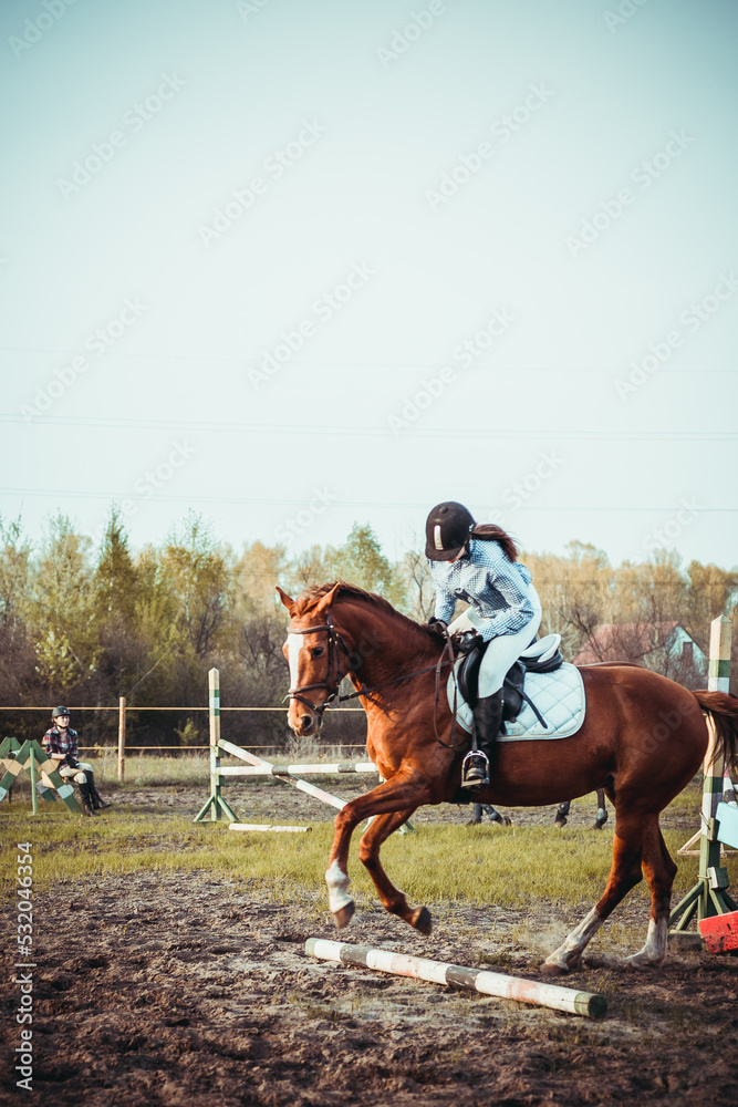Obraz premium A young girl athlete participates in a show jumping competition.