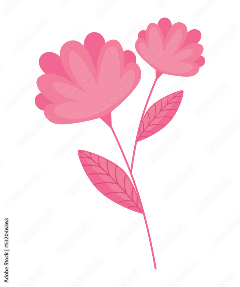 flowers garden pink color flowers garden pink color