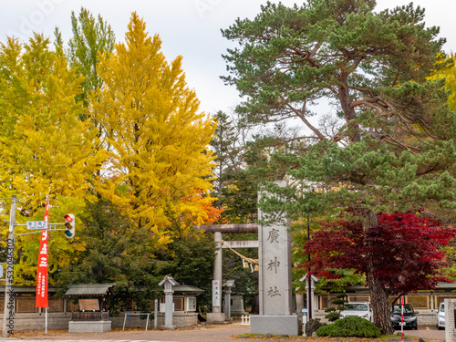 秋の帯廣神社（北海道） photo