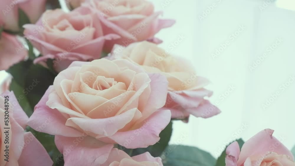 Pink roses in a flower shop close-up Pink roses in a flower shop close-up