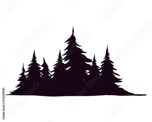 pines trees forest