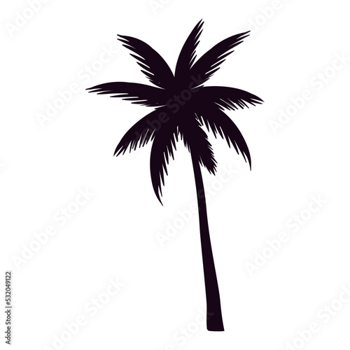 tropical tree palm silhouette