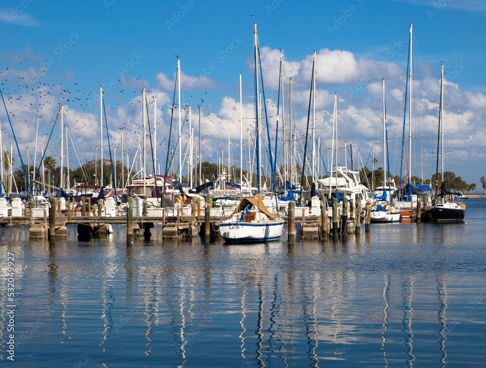 Boats in Marina at St. Petersburg, Florida