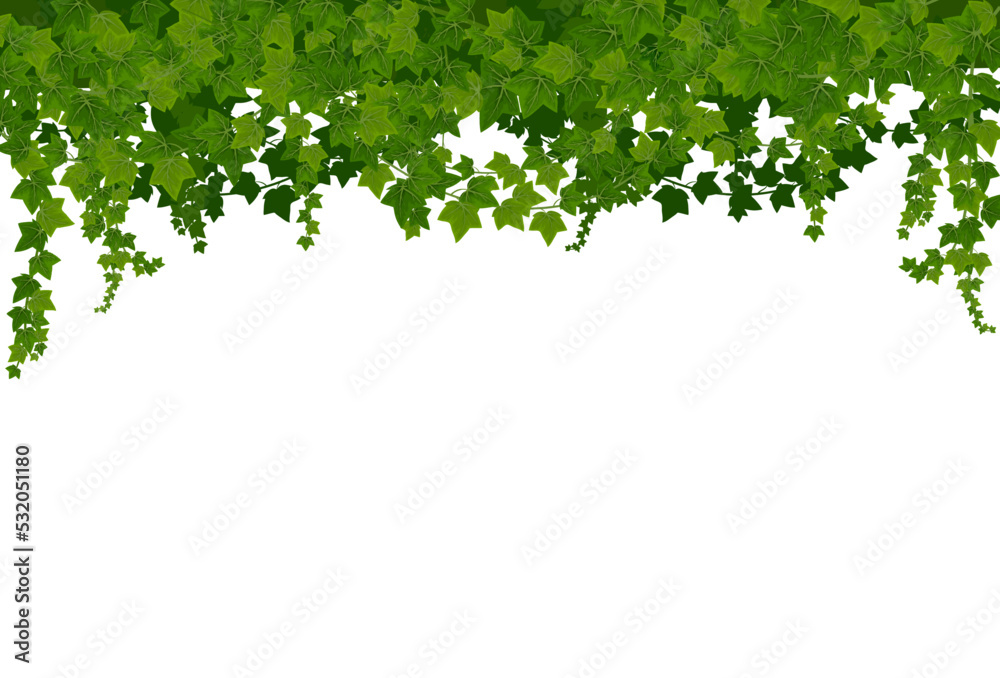 Ivy lianas background with green leaves. Cartoon vector climbing vines frame, green leaves of creeper plant, botanical decorative border. Ivy or hedera branches hanging from above, house decor