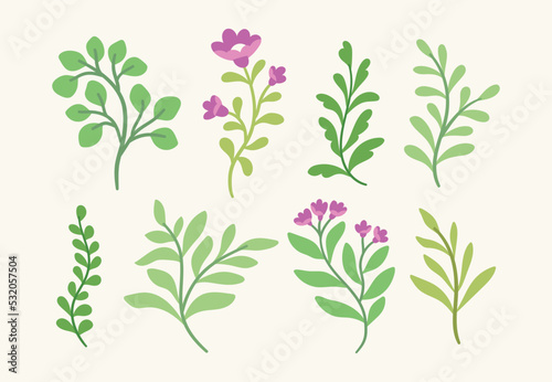 Set of vector botanical digital elements. Hand drawn illustration with leaves and plants. Floral ornaments for card, logo design, print fashion.