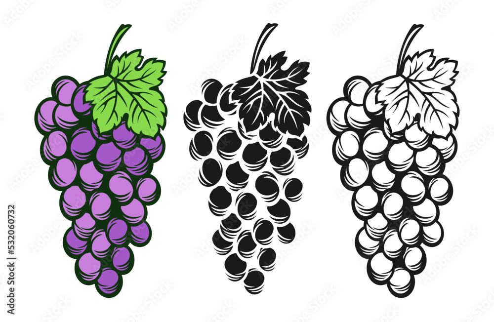 grape-cluster-and-leaf-monochrome-vintage-set-sketch-ink-hand-drawn-outline-wine-grapes-antique-engraving-design-berry-sketches-for-wine-packing-label-pattern-menu-invitation-card-poster-cover-stock-vector