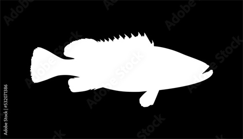 Groupers Fish Silhouette in Black Background for Icon, Symbol, Pictogram, Logo or Graphic Design Element. Vector Illustration