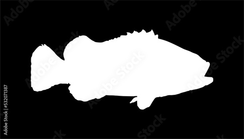 Groupers Fish Silhouette in Black Background for Icon, Symbol, Pictogram, Logo or Graphic Design Element. Vector Illustration