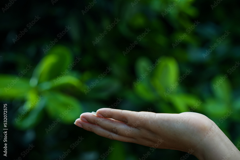 Technology, Hands holding globe of tropical nature summer background, Technology, Hands holding globe of tropical nature summer background,