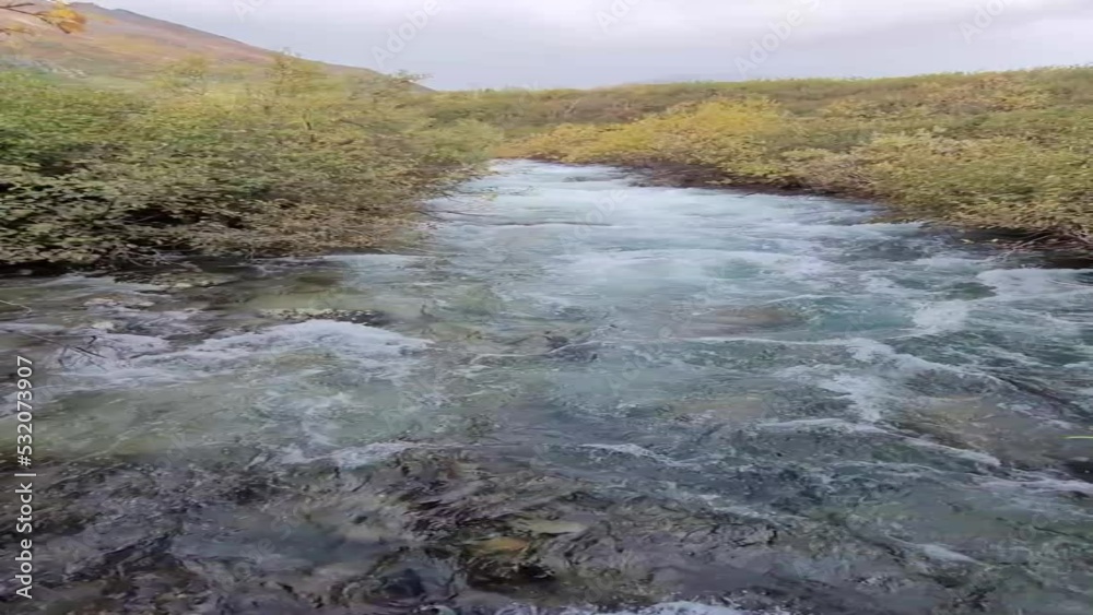 Alaska mountain stream in autumn landscape. Alaska mountain stream in autumn landscape.
