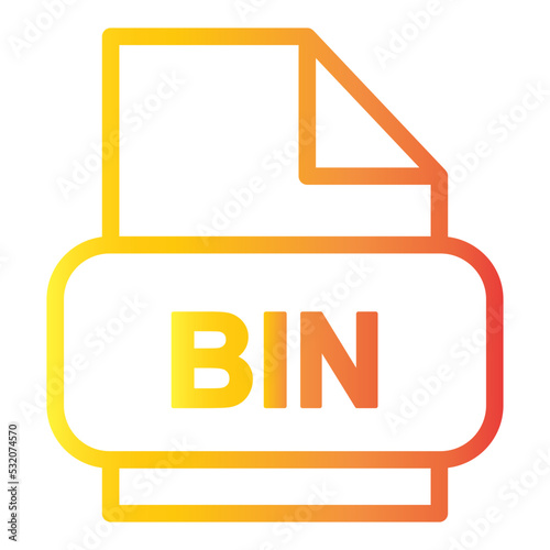 bin file