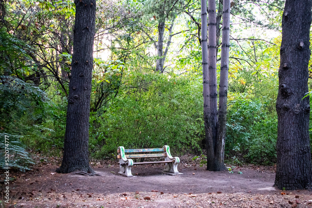 a lonely empty shop in a dense park