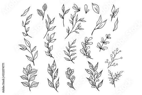 branches collection with hand drawing style. vintage leaves hand drawn