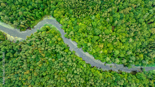 Natural river in the forest - aerial view © Piotr Krzeslak