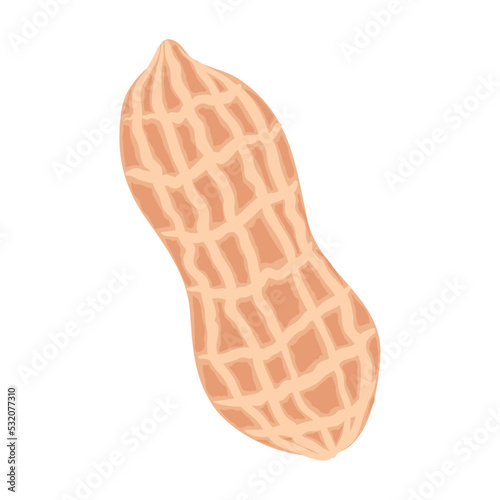 peanut seed organic product