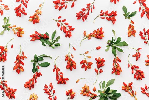 Barberry branches with red berry and green leaves as minimal pattern on white background. Trend flat lay fresh berries, healthy spice for food. Barberry twigs natural food, medicinal plant