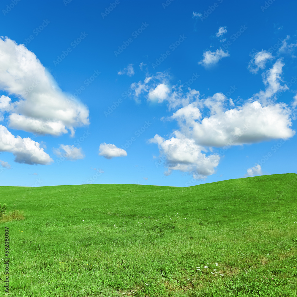 Green grass and blue sky with white fluffy clouds, beauty nature background. Perfect summer greenery field, hill, grassland. Nature environment landscape, lush green grass meadow, blue sky