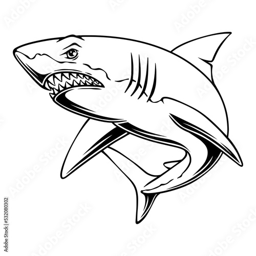 vector illustration Shark with prey hunting position black and white design