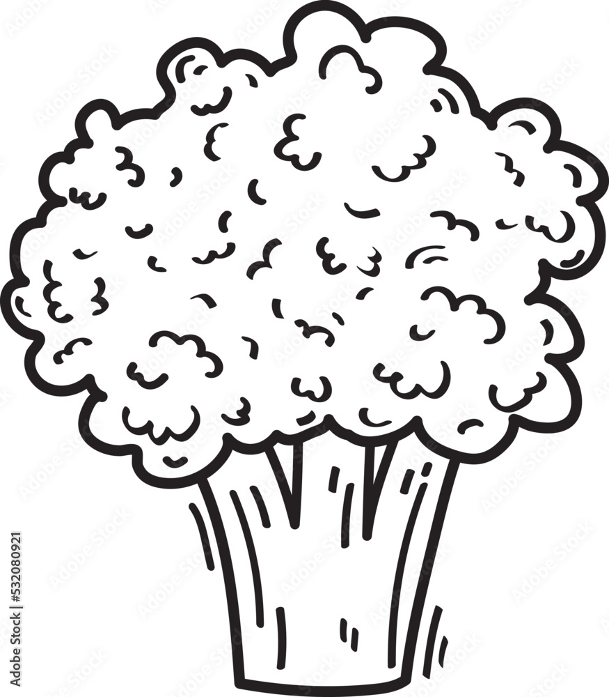 Broccoli Vegetable Illustration Food Broccoli Vegetable Illustration Food