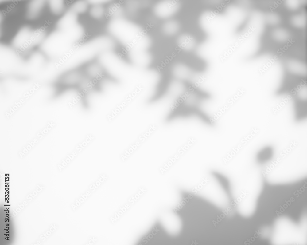 Obraz premium Blur Overlay Shadow Leaves Background,Abstract Sunlight effect Nature on Gray Cement Backdrop,Mock Up Display Free Space for add Products presentation,Structure Concrete Material Floor Construction.
