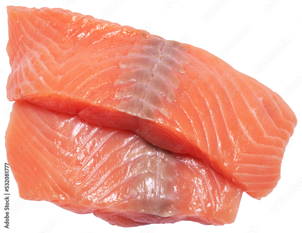piece of salmon fillet isolated 