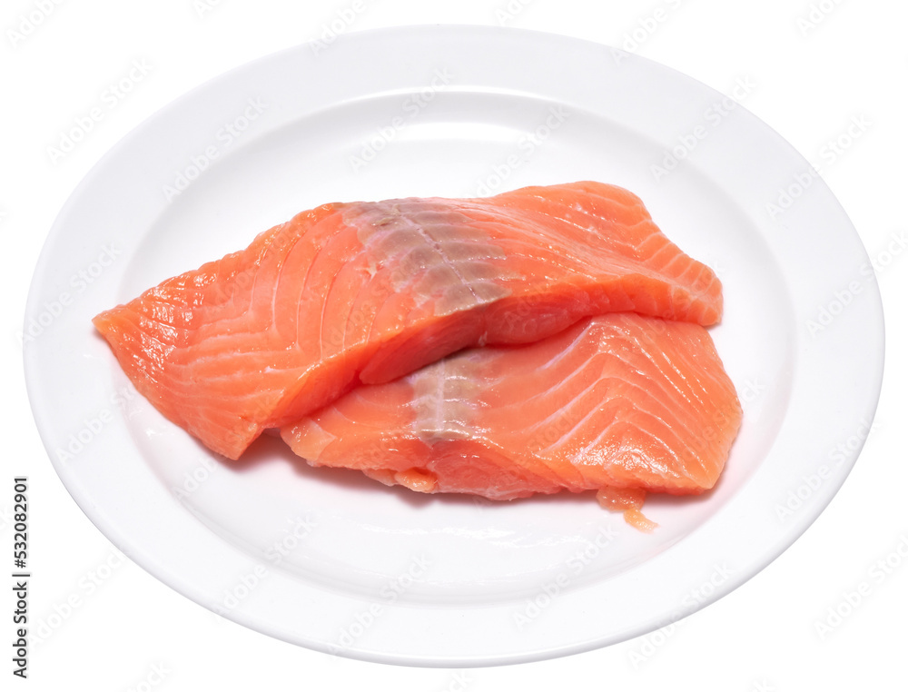 piece of salmon fillet on a ceramic plate piece of salmon fillet on a ceramic plate