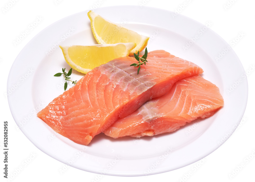 piece of salmon fillet on a ceramic plate piece of salmon fillet on a ceramic plate