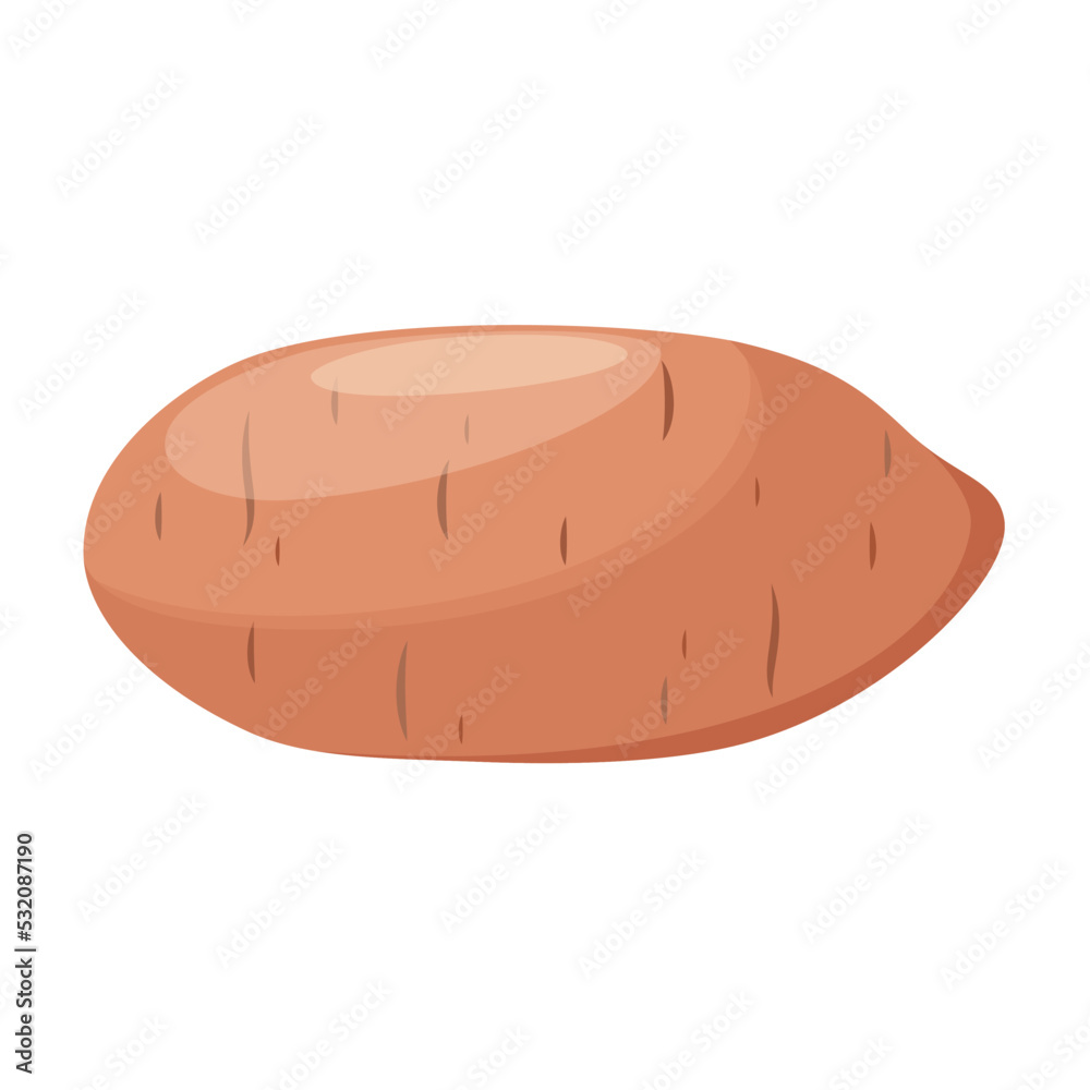 Yam on a white background. Vegetable. Cartoon design. Yam on a white background. Vegetable. Cartoon design.