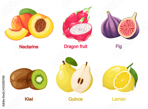 A set of ripe juicy fruits on a white background. Cartoon design.
