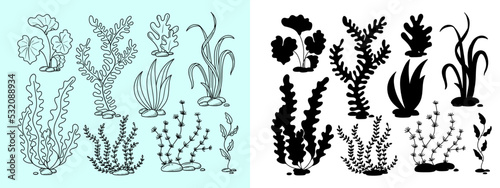 seaweed hand drawn in doodle style