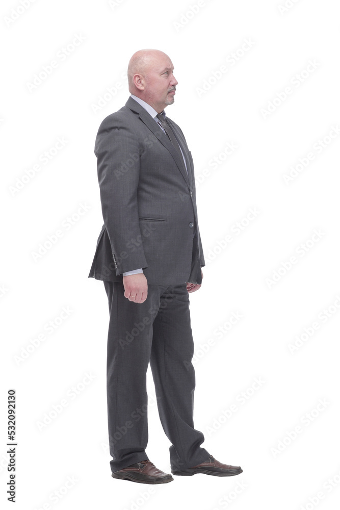Mature business man .isolated on a white background. Mature business man .isolated on a white background.