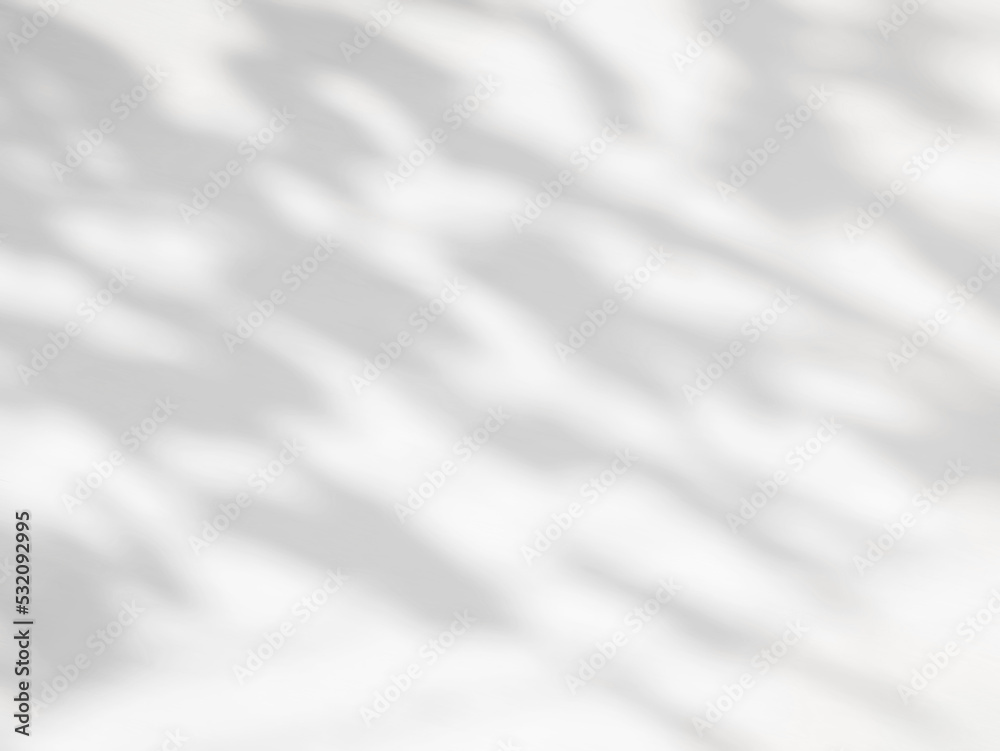 Tree shadow and leaf branch background, overlay effect for photo, mock up, product, wall art, design presentation Tree shadow and leaf branch background, overlay effect for photo, mock up, product, wall art, design presentation