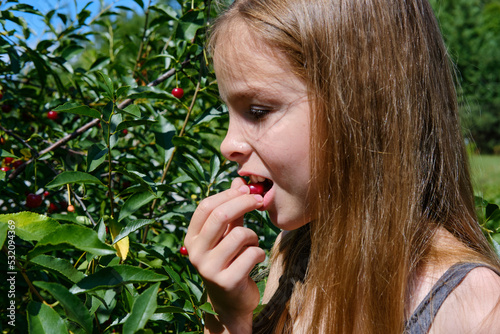 A smiling, positive teenage girl in the garden holds a ripe cherry in her hand and eats it, against the blue sky. Cherry harvesting