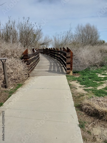 wooden bridge in the forest