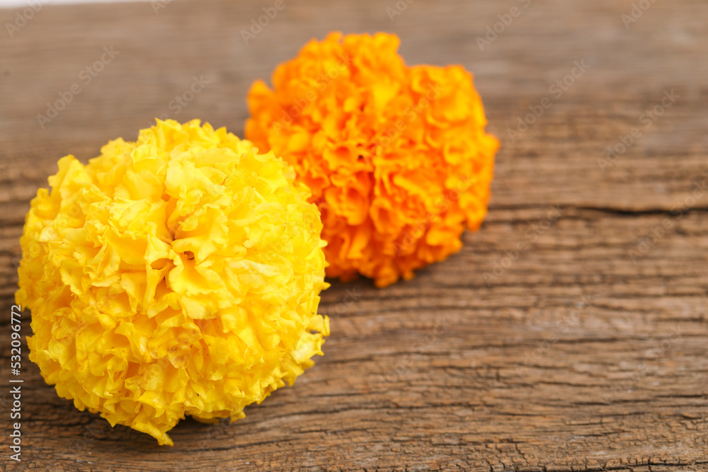 Marigold Flower for dasara Festival, Indian Festival flower decoration. Marigold Flower for dasara Festival, Indian Festival flower decoration.