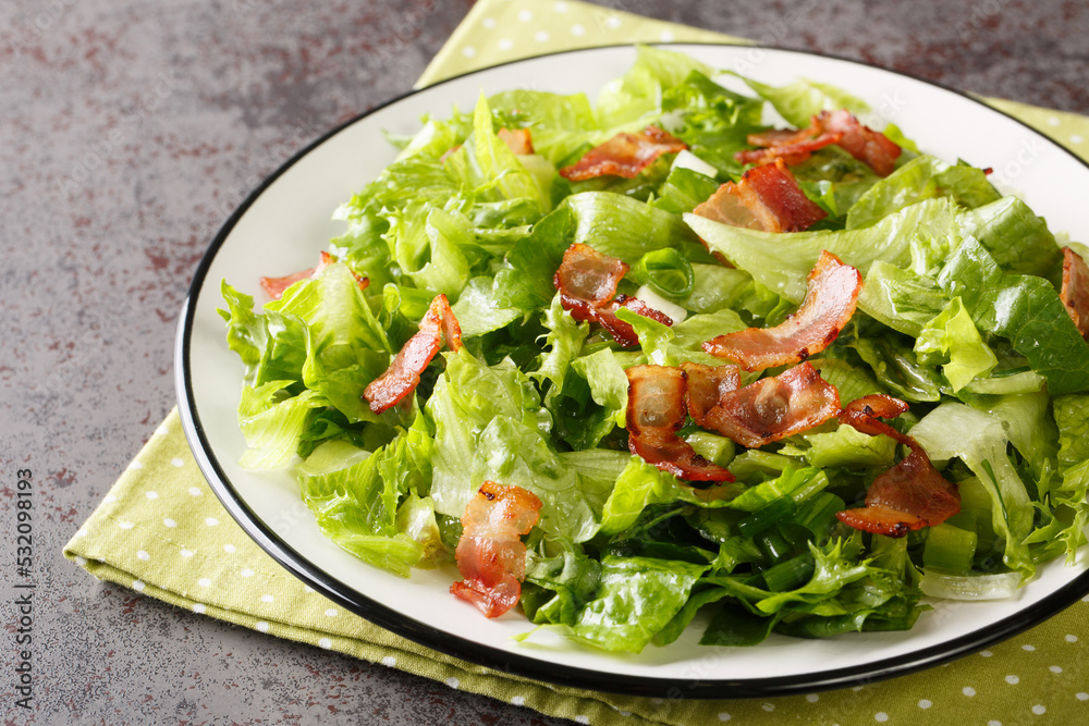 Tasty wilted lettuce salad is lightly coated with a delectable warm dressing with strips bacon closeup in the plate on the table. Horizontal