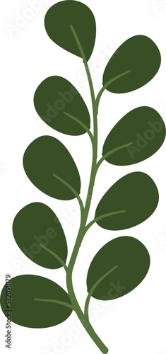 Illustration of plant