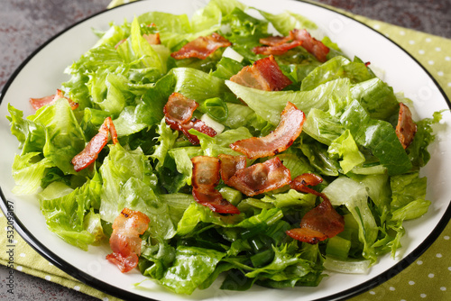 American Wilted Lettuce Salad With strips Bacon closeup in the plate on the table. Horizontal
